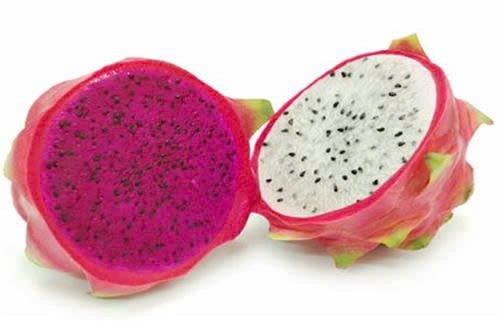 VIET FRUIT red and white dragon fruit