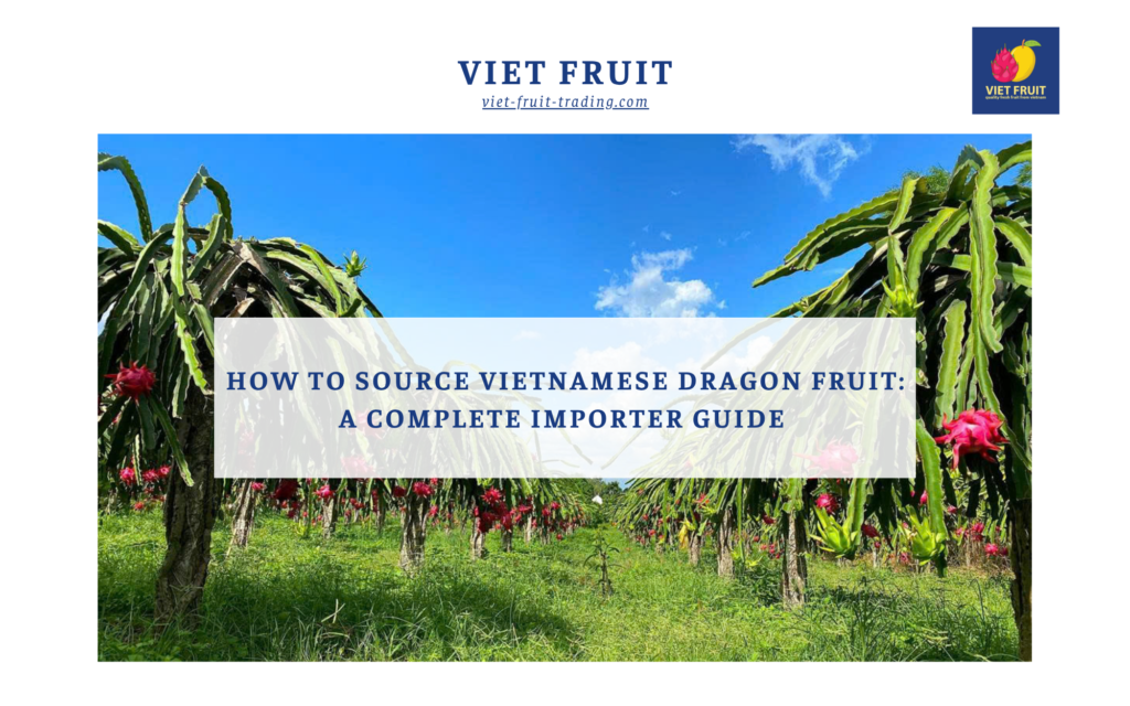 Sourcing Vietnamese Dragon Fruit