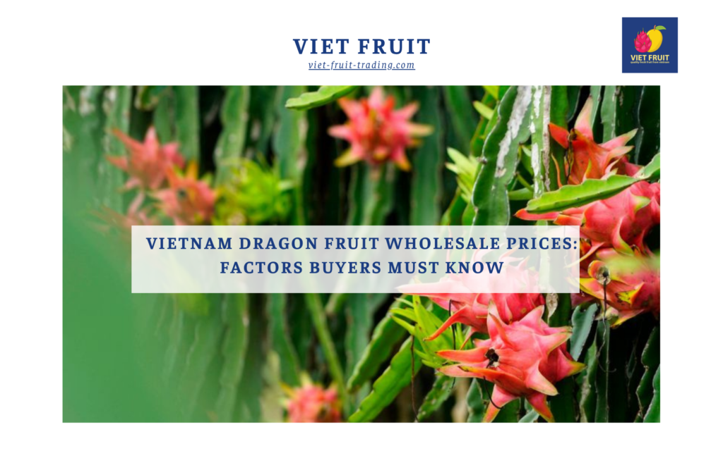 Vietnam Dragon Fruit Wholesale Prices: Factors Buyers Must Know