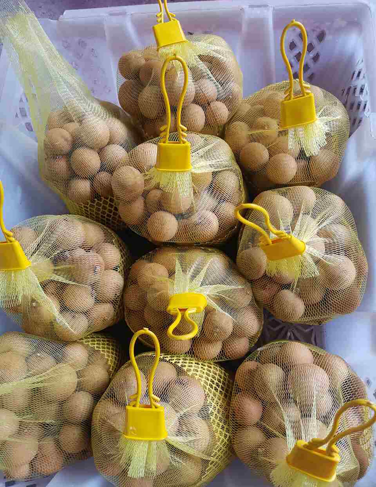 VIET FRUIT longan packed