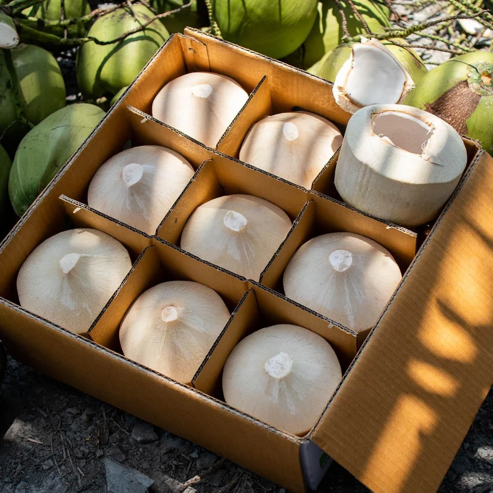 VIET FRUIT diamond cut coconuts