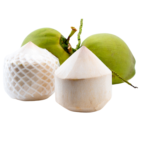 VIET FRUIT diamond cut coconut