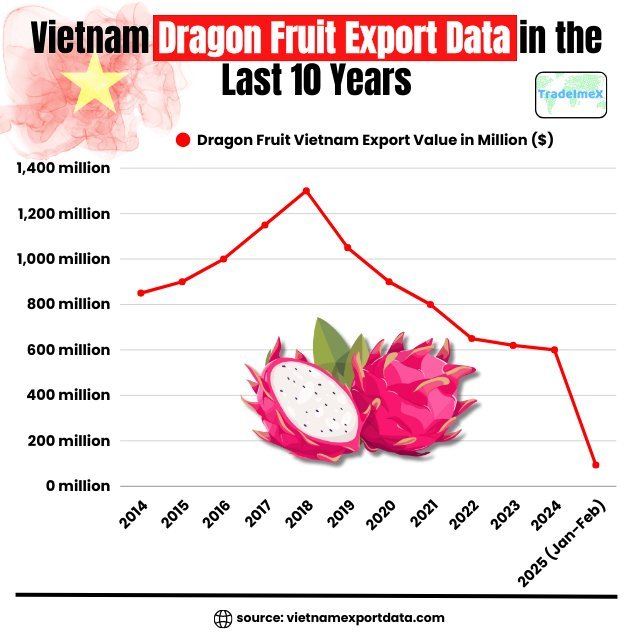 Dragon fruit exports
