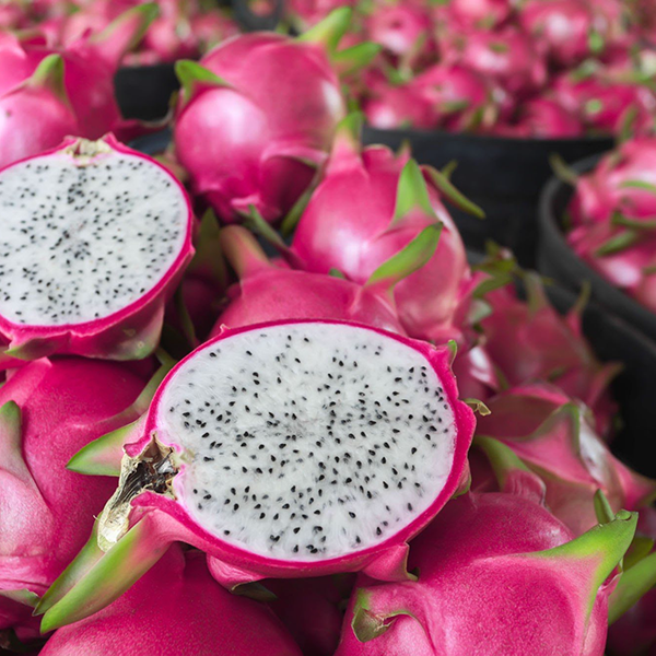 VIET FRUIT dragon fruit