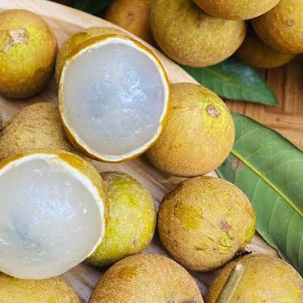 VIET FRUIT longan