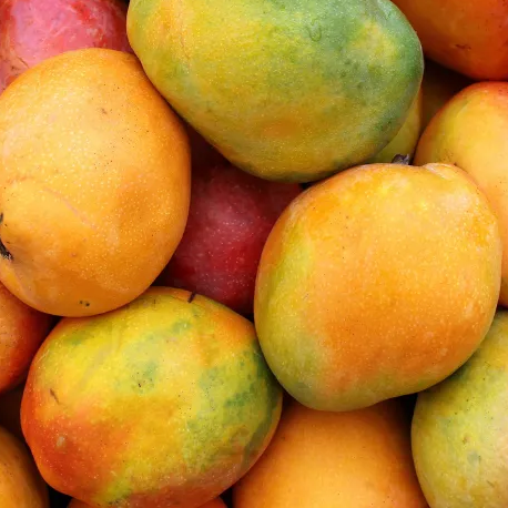 VIET FRUIT mangos