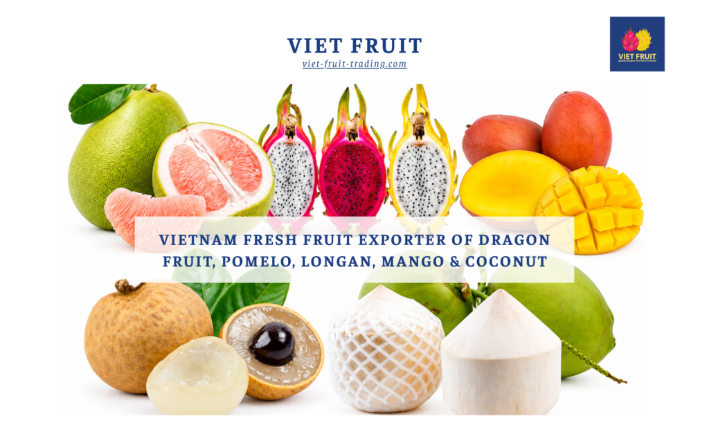 Viet Fruit: Vietnam Fresh Fruit Exporter of Dragon Fruit, Pomelo, Longan, Mango & Coconut