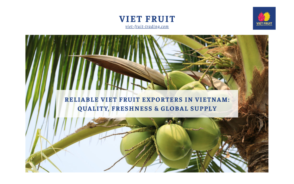 Reliable Viet Fruit Exporters in Vietnam: Quality, Freshness and Global Supply