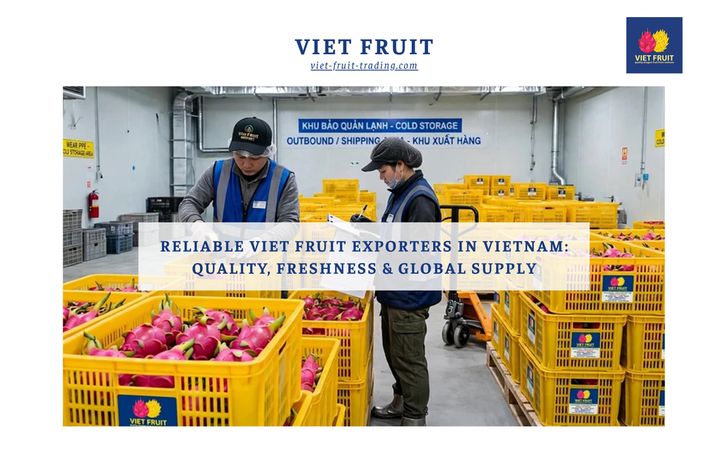 Reliable Viet Fruit Exporters in Vietnam: Quality, Freshness & Global Supply