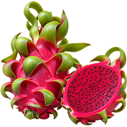 VIET FRUIT red dragon fruit