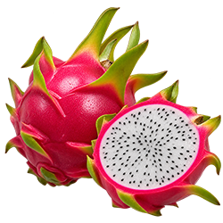 VIET FRUIT white dragon fruit