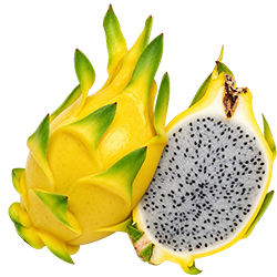 VIET FRUIT yellow dragon fruit