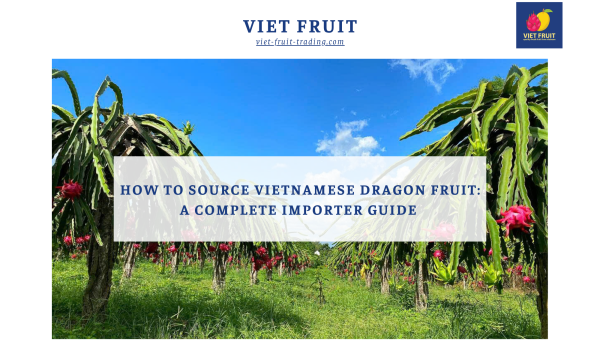 Sourcing Vietnamese Dragon Fruit
