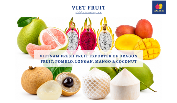 Viet Fruit: Vietnam Fresh Fruit Exporter of Dragon Fruit, Pomelo, Longan, Mango & Coconut