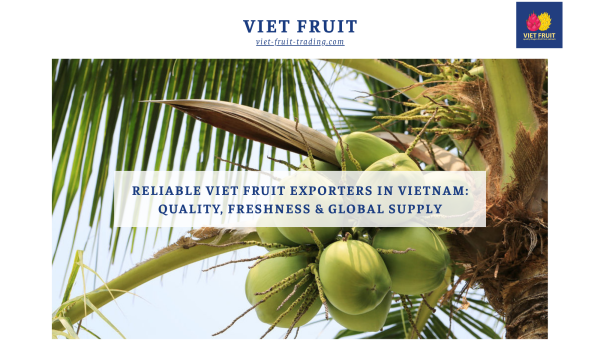 Reliable Viet Fruit Exporters in Vietnam: Quality, Freshness and Global Supply