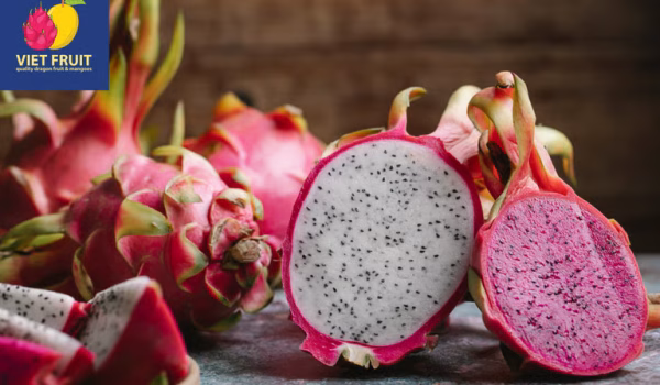 Fresh dragon fruit at Viet Fruit