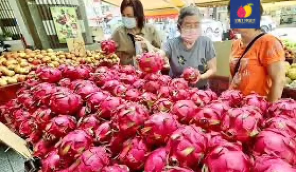 Fresh dragon fruit at supermarket
