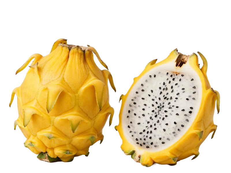 Dragon fruit
